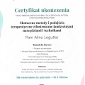 Powiększ obraz: certificate 45