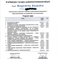 Powiększ obraz: certificate 3