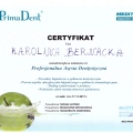 Powiększ obraz: certificate 1