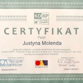 Powiększ obraz: certificate 1