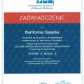 Powiększ obraz: certificate 8