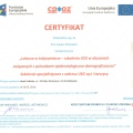 Powiększ obraz: certificate 7