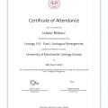Powiększ obraz: certificate 295