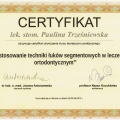 Powiększ obraz: certificate 10