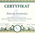 Powiększ obraz: certificate 9