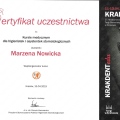 Powiększ obraz: certificate 11