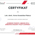 Powiększ obraz: certificate 6