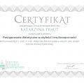 Powiększ obraz: certificate 3