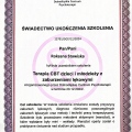 Powiększ obraz: certificate 4