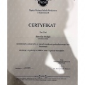 Powiększ obraz: certificate 11