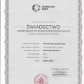Powiększ obraz: certificate 11