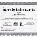 Powiększ obraz: certificate 11
