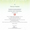 Powiększ obraz: certificate 19