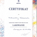 Powiększ obraz: certificate 9