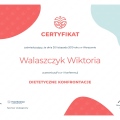 Powiększ obraz: certificate 1