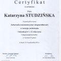 Powiększ obraz: certificate 29