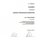 Powiększ obraz: certificate 5