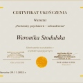 Powiększ obraz: certificate 3