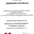 Powiększ obraz: certificate 8