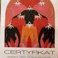 Powiększ obraz: certificate 2