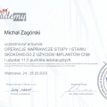 Powiększ obraz: certificate 8