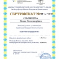 Powiększ obraz: certificate 2