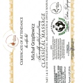 Powiększ obraz: certificate 3