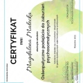 Powiększ obraz: certificate 14