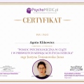 Powiększ obraz: certificate 3