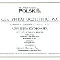 Powiększ obraz: certificate 44