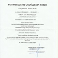 Powiększ obraz: certificate 2