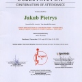 Powiększ obraz: certificate 21