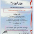 Powiększ obraz: certificate 7