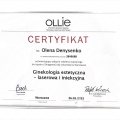 Powiększ obraz: certificate 1