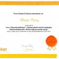 Powiększ obraz: certificate 28