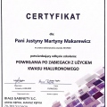 Powiększ obraz: certificate 3
