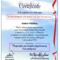 Powiększ obraz: certificate 2