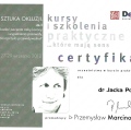 Powiększ obraz: certificate 46