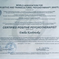 Powiększ obraz: certificate 2