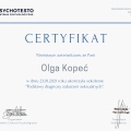 Powiększ obraz: certificate 3