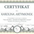 Powiększ obraz: certificate 16