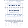 Powiększ obraz: certificate 212