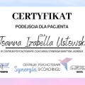 Powiększ obraz: certificate 3