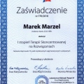 Powiększ obraz: certificate 3
