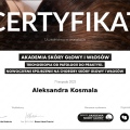 Powiększ obraz: certificate 10