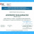 Powiększ obraz: certificate 63