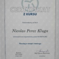 Powiększ obraz: certificate 9