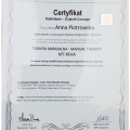 Powiększ obraz: certificate 1