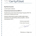 Powiększ obraz: certificate 8