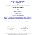 Powiększ obraz: certificate 64